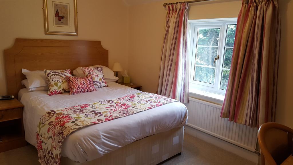 Apple Tree 3* Bridgwater